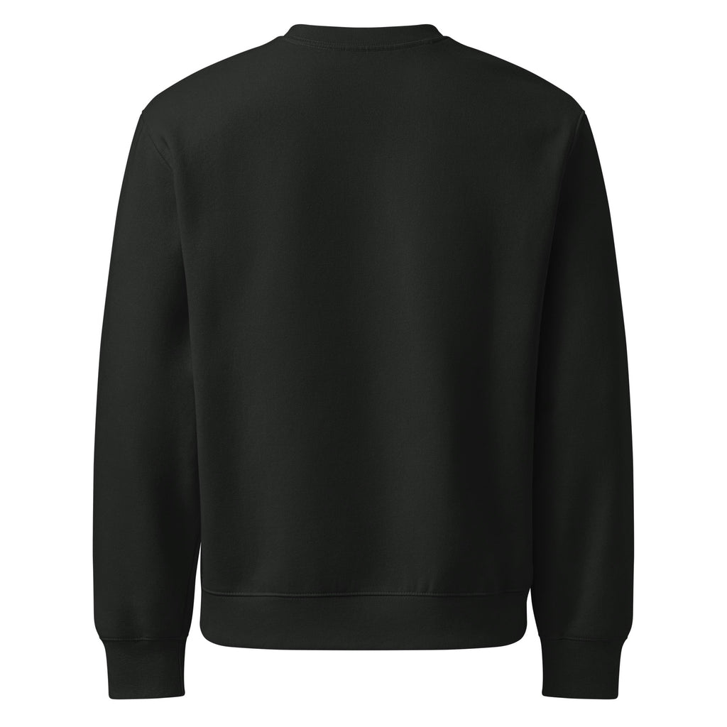 Matthew 16:16 IXOYE Sweatshirt – Jesus Christ, Son of God Savior | Oversized heavyweight sweatshirt | – GodSpeed Threads