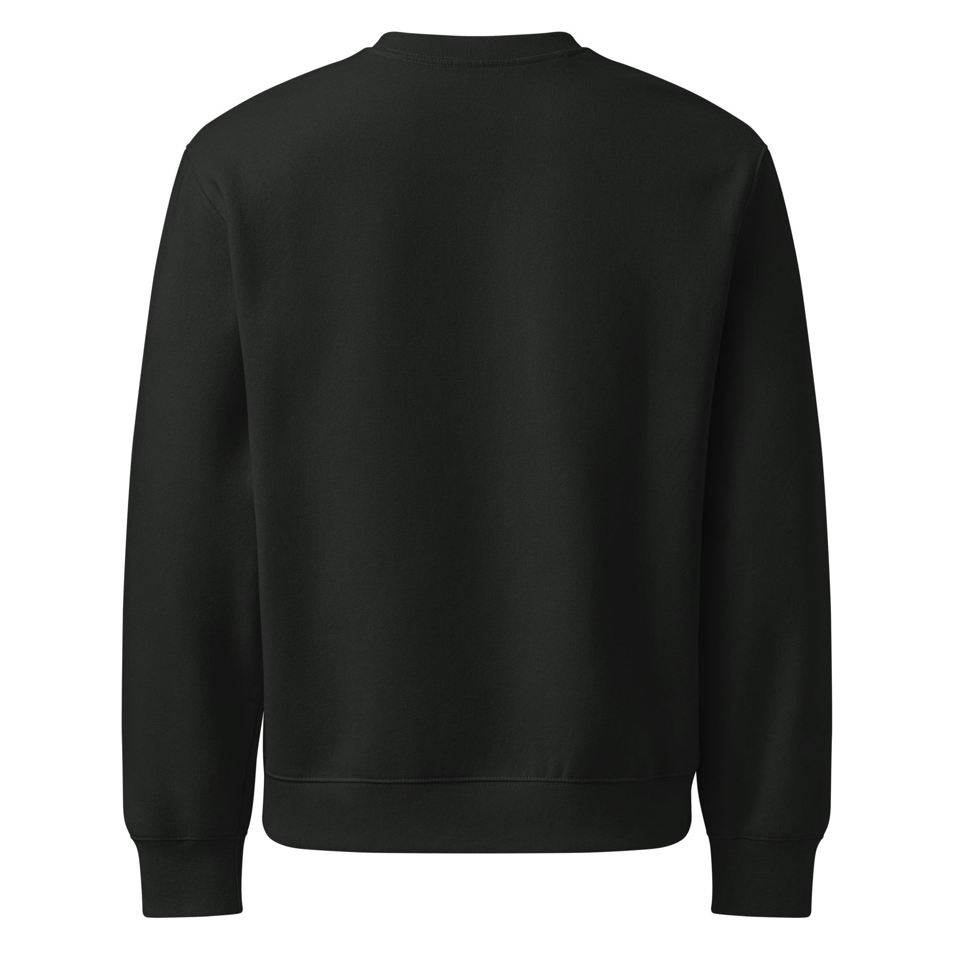Matthew 16:16 IXOYE Sweatshirt – Jesus Christ, Son of God Savior | Oversized heavyweight sweatshirt | – GodSpeed Threads