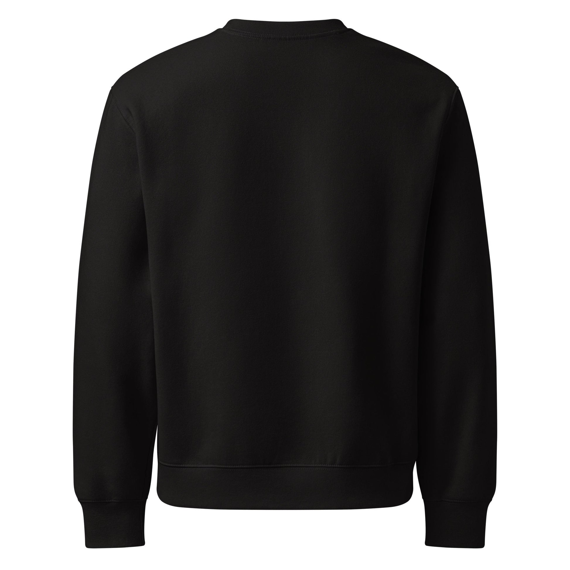 Matthew 16:16 IXOYE Sweatshirt – Jesus Christ, Son of God Savior | Oversized heavyweight sweatshirt | – GodSpeed Threads