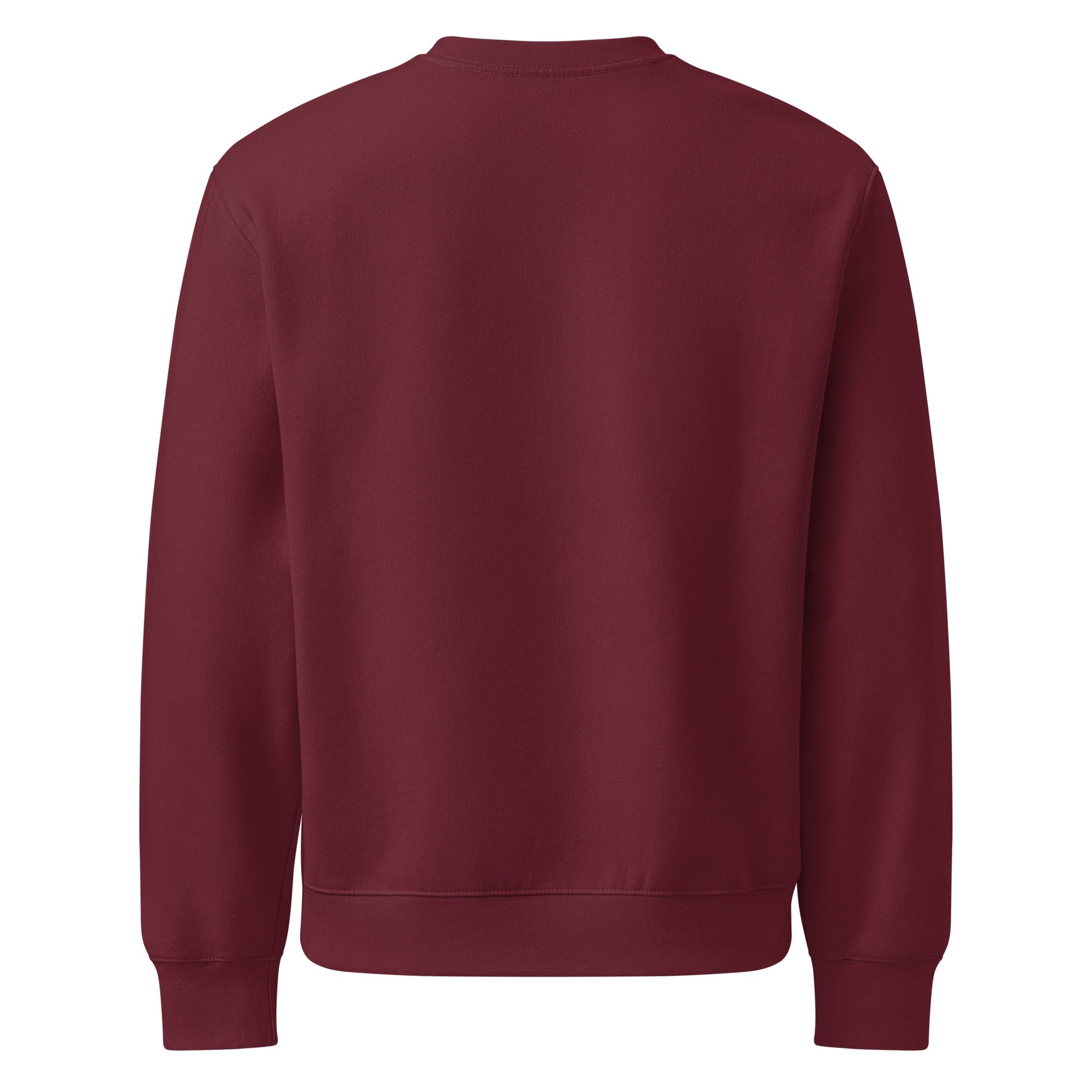 Matthew 16:16 IXOYE Sweatshirt – Jesus Christ, Son of God Savior | Oversized heavyweight sweatshirt | – GodSpeed Threads